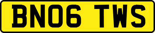 BN06TWS