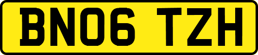 BN06TZH