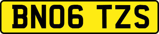 BN06TZS