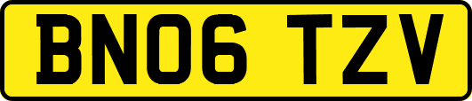 BN06TZV