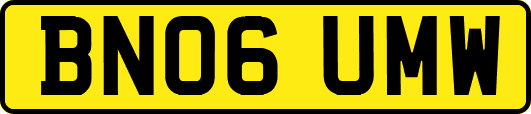 BN06UMW