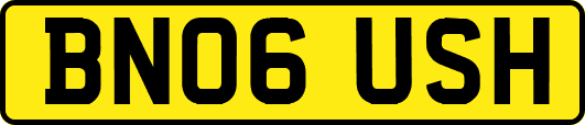 BN06USH