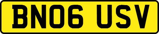 BN06USV
