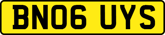 BN06UYS