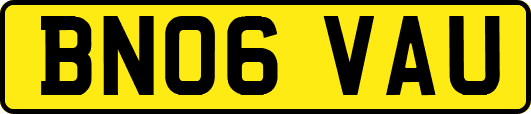 BN06VAU