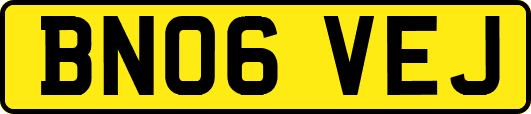 BN06VEJ