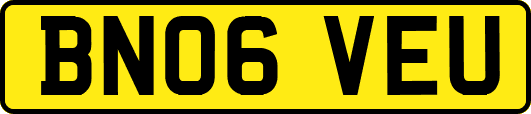 BN06VEU