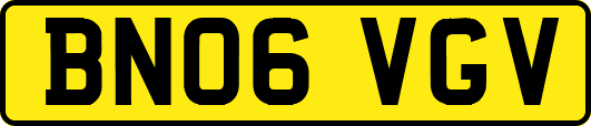 BN06VGV