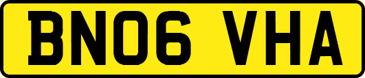 BN06VHA