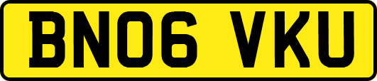 BN06VKU