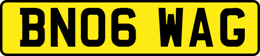BN06WAG