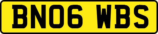 BN06WBS