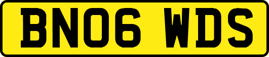 BN06WDS