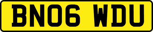 BN06WDU