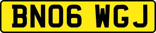 BN06WGJ