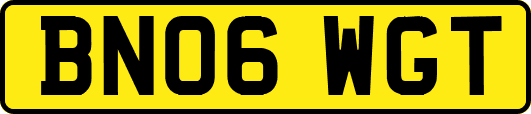 BN06WGT