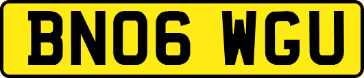 BN06WGU