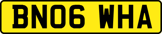 BN06WHA