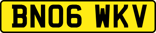 BN06WKV