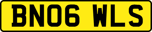 BN06WLS