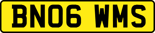 BN06WMS