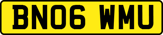 BN06WMU