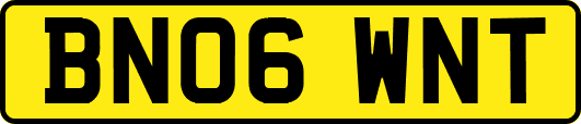 BN06WNT