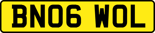 BN06WOL