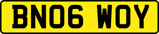 BN06WOY