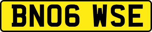 BN06WSE