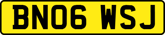 BN06WSJ
