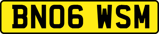 BN06WSM