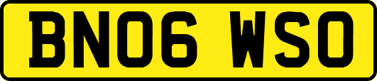 BN06WSO