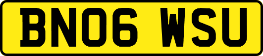 BN06WSU