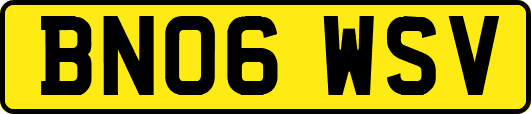 BN06WSV