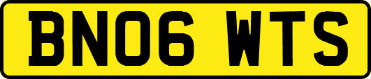BN06WTS