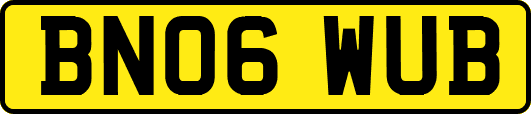 BN06WUB