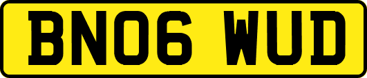 BN06WUD