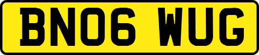 BN06WUG