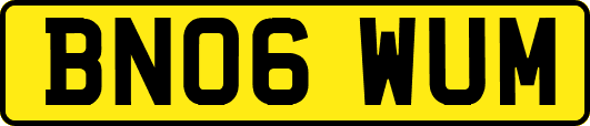 BN06WUM