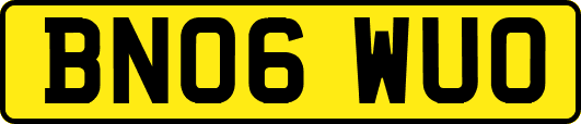 BN06WUO