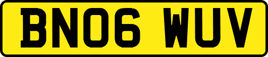 BN06WUV