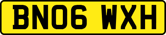 BN06WXH
