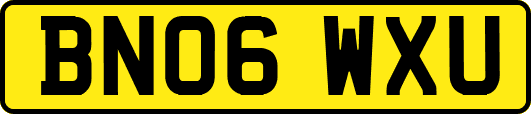BN06WXU