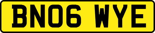 BN06WYE