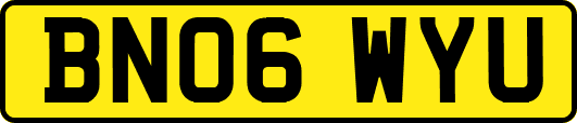 BN06WYU