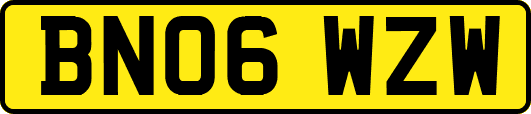 BN06WZW
