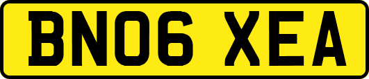 BN06XEA