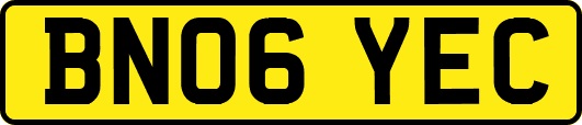 BN06YEC