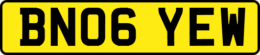 BN06YEW